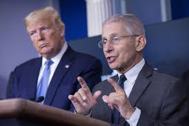 Go on to discover millions of awesome videos and pictures in thousands of other categories. Can Anthony Fauci Survive In The Trump White House Vanity Fair