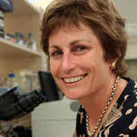 Ceiling Smashers: SA Women who changed education, science and medicine