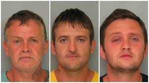 Family trio accused of assaulting man, killing dog