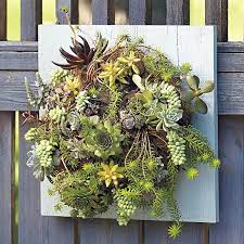 Make sure the frame is dry before you hang it up again. Succulent Wall Planter Garden Gate