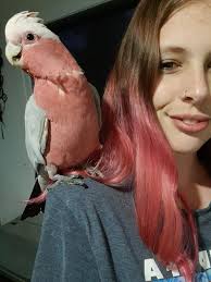 What do you think of my tattoo?