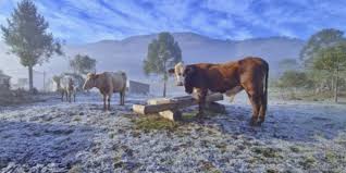 O inverno no sul da argentina é frio e com frequente ocorrência de neve. Gelo Geada E Frio No Sul Do Brasil Metsul Meteorologia
