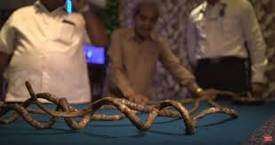 It took her more than two bottles of nail polish and. The Man With The Longest Fingernails In The World Update Explore Awesome Activities Fun Facts Cbc Kids