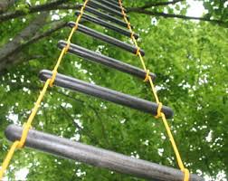 Nistkasten Richtig Anbringen Himmelsrichtung Nistkasten Wahlen