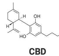 Por qué es importante la biodisponibilidad y la bioentrega ...