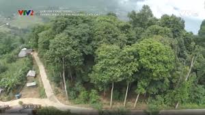 Giải mã cuộc sống": Câu chuyện phía sau ...