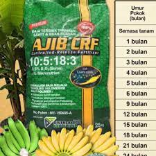 Lihat ide lainnya tentang pisang, makanan, resep. Baja Pokok Pisang 25kg Shopee Malaysia