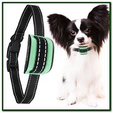 Best Shock Collar For Small Dogs Barking Small Dog Bark Collar Dog Barking Dog Training Collar