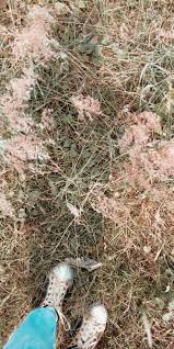 2 jul 2020 may 25 2020 this pin was discovered by emlin ordonez. Wallpaper Estetik Wallpaper Aesthetic Rumput Instagram Instagram Photo Photo