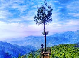 Check spelling or type a new query. Ini Wisata Alam Bogor Terbaru 2018 Kapan Liburan Ke Sini