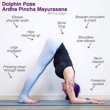 Laura Large On Instagram Triyogaschool Our January Focus Is On Shoulder Strengtheners Our Pose For Week Dolphin Pose Dolphin Pose Yoga Yoga Asanas