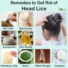 Natural Remedies For Lice How To Get Rid Of Head Lice Head Louse Lice Remedies Head Lice Remedy
