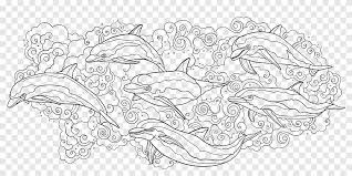 Download Drawing Coloring Book National Geographic Color Paperrplanes Angle Child Png Pngegg