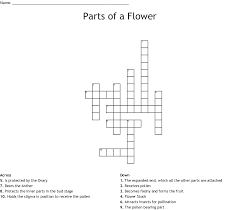 We've arranged the synonyms in length order so that they are easier to find. Parts Of A Flower Crossword Wordmint