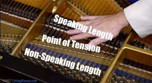 Often are minor defects corrected during tuning. Can You Tune Your Own Piano