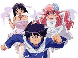 Maybe you would like to learn more about one of these? Hintergrundbilder Illustration Anime Karikatur Hochzeitskleid Laufen Zero No Tsukaima Junge Madchen Mangaka Louise Francoise Le Blanc De La Valliere 1600x1200 Wallhaven 697647 Hintergrundbilder Wallhere