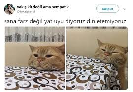 Celin Diox Adli Kullanicinin Bedava Hileler Panosundaki Pin Komik Seyler Komik Capsler Ve Komik