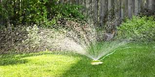 Determine what type of lawn you have. How Much To Water St Augustine Grass Houston Grass Pearland Tx
