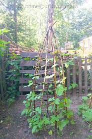 There is no need to buy an expensive garden trellis when you can easily make your own using supplies you most likely already have. How To Build A Green Bean Teepee Trellis The Homespun Hydrangea