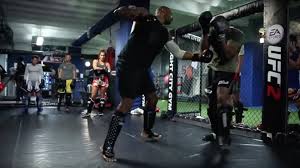 12 best mma gyms in london square mile