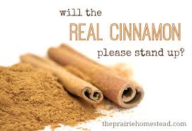 Image result for cinnamon growing in ground