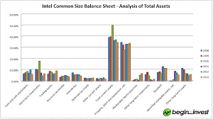 Analyze A Common Size Balance Sheet Income Statement And