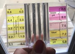 48 Prototypal Clorox 3 Way Test Kit