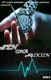 Kitap 2 Panosundaki Pin
