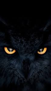 Owl Dark Glowing Eyes Iphone Wallpaper Free Free Pik Psd Owl Wallpaper Eyes Wallpaper Owl Wallpaper Iphone