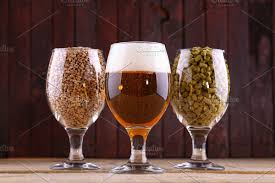 Malt And Hops In Glasses Sponsored Malt Beer Glasses Background Champagne Flute Glassware Malt