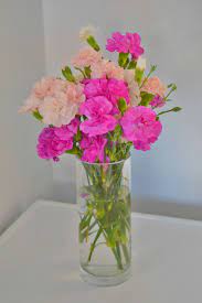 Maybe you would like to learn more about one of these? Flowers Asda Rock And Roll Pussycat