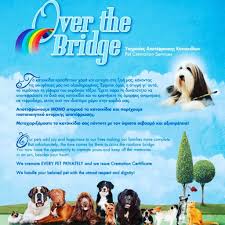 During this process, his ashes will be combined with all the other pets. Over The Bridge Pet Cremation Services Vetforexotics