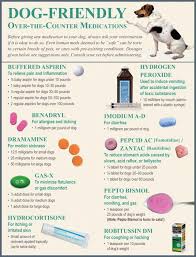 Explore Our Website For Additional Relevant Information On Dogs It Is Actually An Outstanding Area For More Informati Meds For Dogs Dog Medicine Dog Care Tips