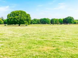 大江 美香弁護士（弁護士法人古家野法律事務所） - 京都府京都市 - 弁護士ドットコム