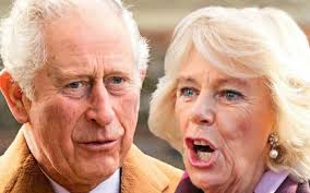 Thái tử Charles sắp thừa kế ngai vàng và sẽ ly hôn bà Camilla vì lý do dễ  hiểu này