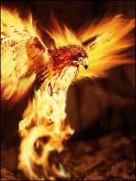 Gif Pegaso Buscar Con Google Phoenix Bird Phoenix Bird Tattoos Phoenix Rising