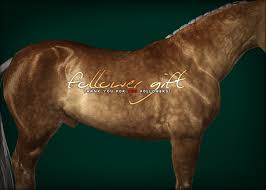 Download · sims 3 sims 3 cc sims 3 equestrian cc equestrian sims . Equinemods