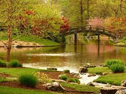 Serene St Louis Botanical Garden Botanical Gardens Japanese Garden
