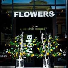 Check spelling or type a new query. My Viola Floral Studio Myviolafloral Profile Pinterest