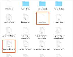 Beginners Guide To Wordpress File And Directory Structure