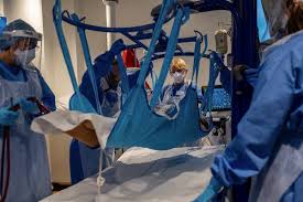 In this article, i will tell you: Covid 19 U K Based Variant Is Probably More Lethal Scientists Say The New York Times