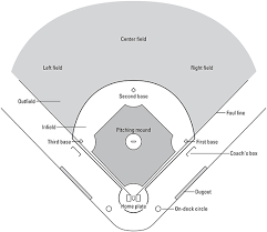 Teams generally field with four infielders (in and around the diamond), plus three outfielders, along with the catcher and pitcher. What Are The Positions On A Baseball Team Dummies