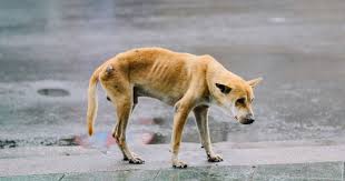 Pin Auf Bewegende Geschichten Aus Dem Leben