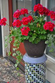 Self watering milk jug planter. Container Flower Garden Ideas Juggling Act Mama