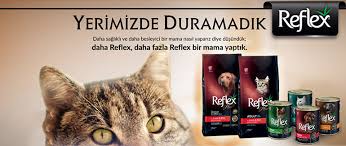 En Iyi Kedi Mamasi 2020 En Iyi Kedi Mamasi Markalari