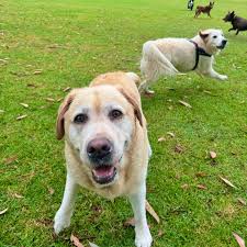 💓💥🌺 Elfy, Indie & Mollie 🤍⚡️✨