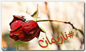 معنى اسم ناريمان nareman وصفات حاملة الاسم معاني الاسماء nareman اسماء بنات vegetables radish