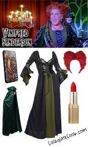 Pin By Andrea Nasser On Halloween Cosplay Hocus Pocus Costume Sister Costumes Sanderson Sisters Costumes