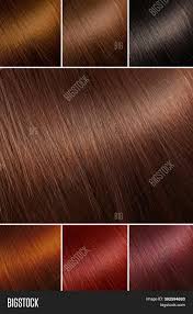 For many, hair coloring is essential (for instance, to cover premature graying), whereas it may appeal to others if they want a complete makeover. Color Chart Tints Image Photo Free Trial Bigstock
