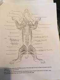 C Ous Atae M Figure 3 11 Illustrates The Chegg Com